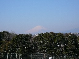 岡村公園から見える富士山[上大岡の税理士事務所]