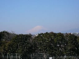 岡村公園から見える富士山[上大岡の税理士事務所]