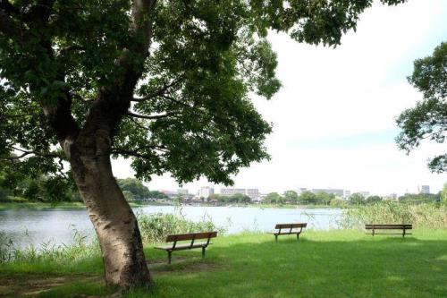 7c89a7b7-b5e3-4cff-87f1-5f0c20e5be0d_m