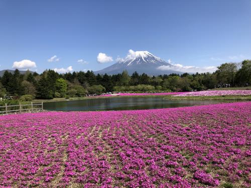 サンプル画像