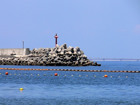 46sea