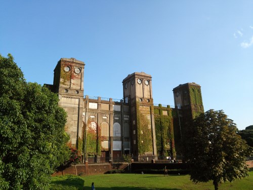 image (10) (500x375)