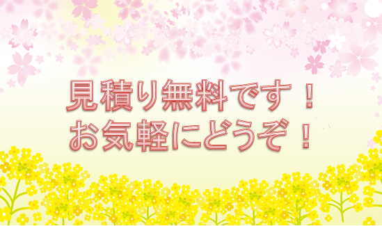 mitsumori_02