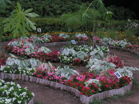 ２００７年５月保存 019