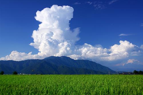 風景