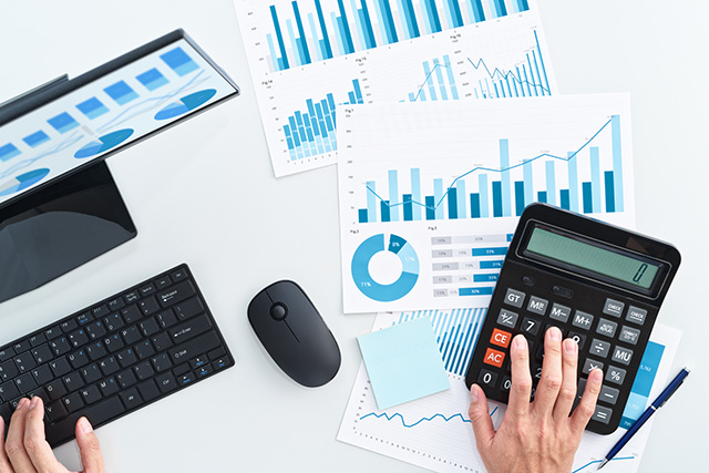 finance_audit