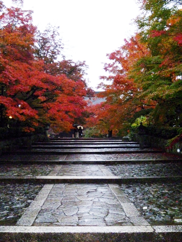 kyouto20121117-1