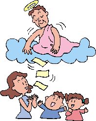 �����ی����T���̌�����