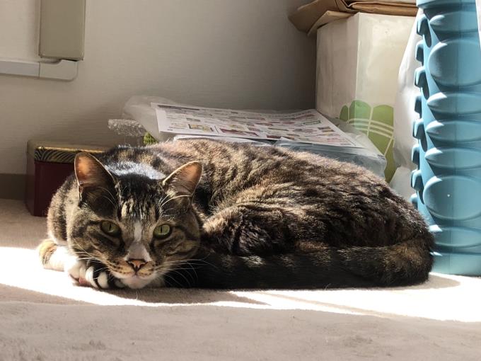 写真 2020-04-19 9 31 33