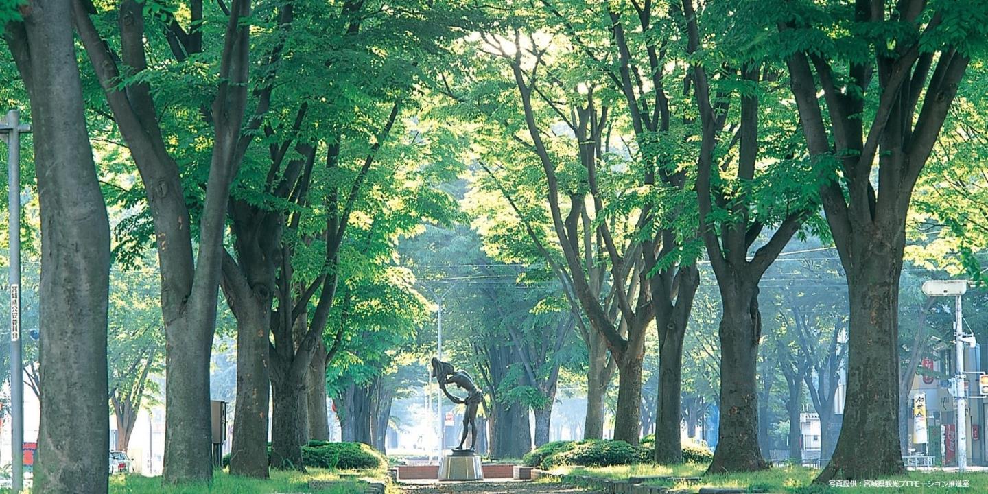 ②新緑の定禅寺通り