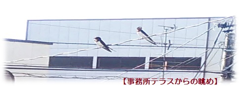 おしらせ画像コメント入り1