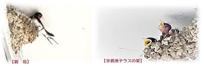 概要2