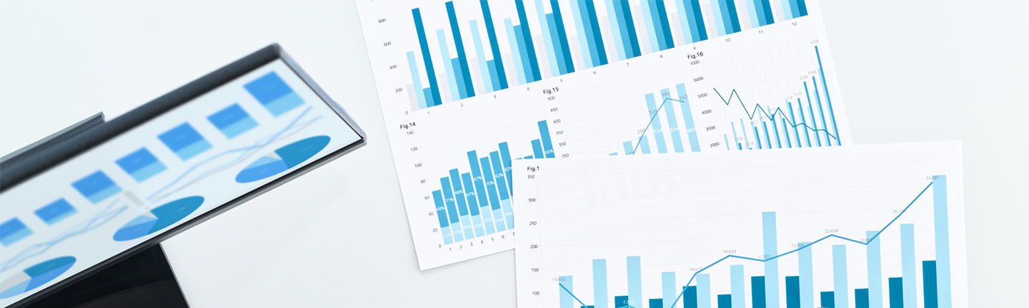finance_audit1
