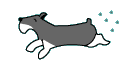 run-ms