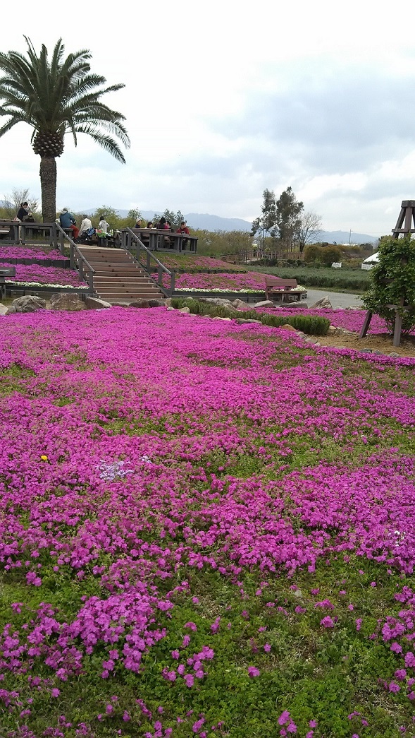 1437474247505縮小2