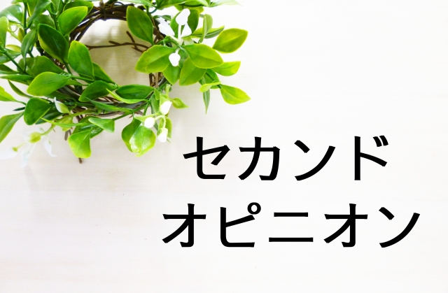 セカンドオピニオン4965639_s