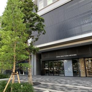 入口20190515